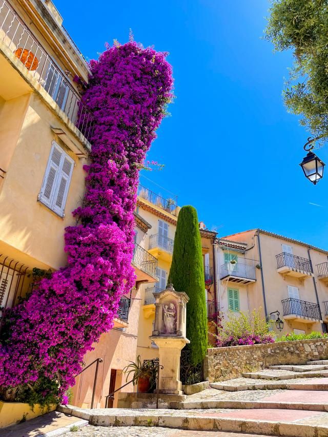 Hôtel des Orangers - Cannes