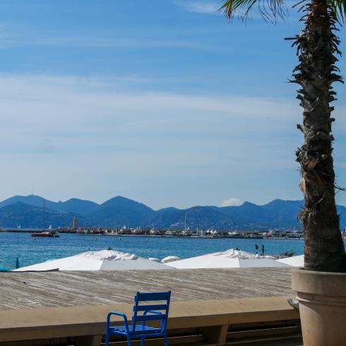 Hôtel des Orangers - Cannes