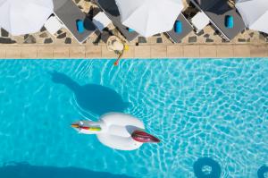 Jardin & Piscine